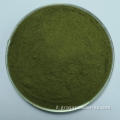 Succo di alfalfa in polvere verde